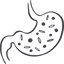 Stomach Health Icon