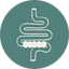 Intestinal and Gut Icon