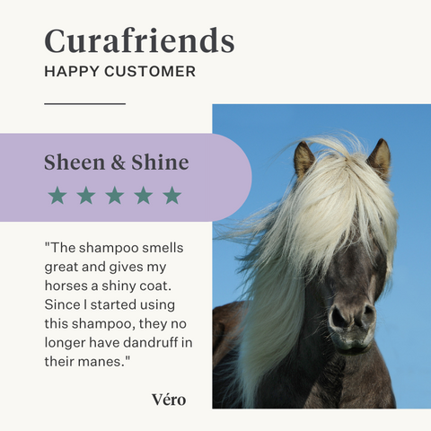Horse pony shampoo sensitive skin natural mild ph neutral microbiome friendly  | localization: EN