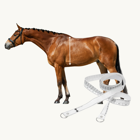 Weighband Horse