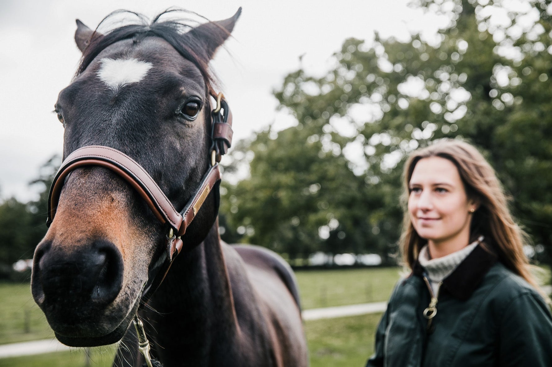The Fertility Formula: Clinically proven supplement improves your mare's chances of conceiving this season