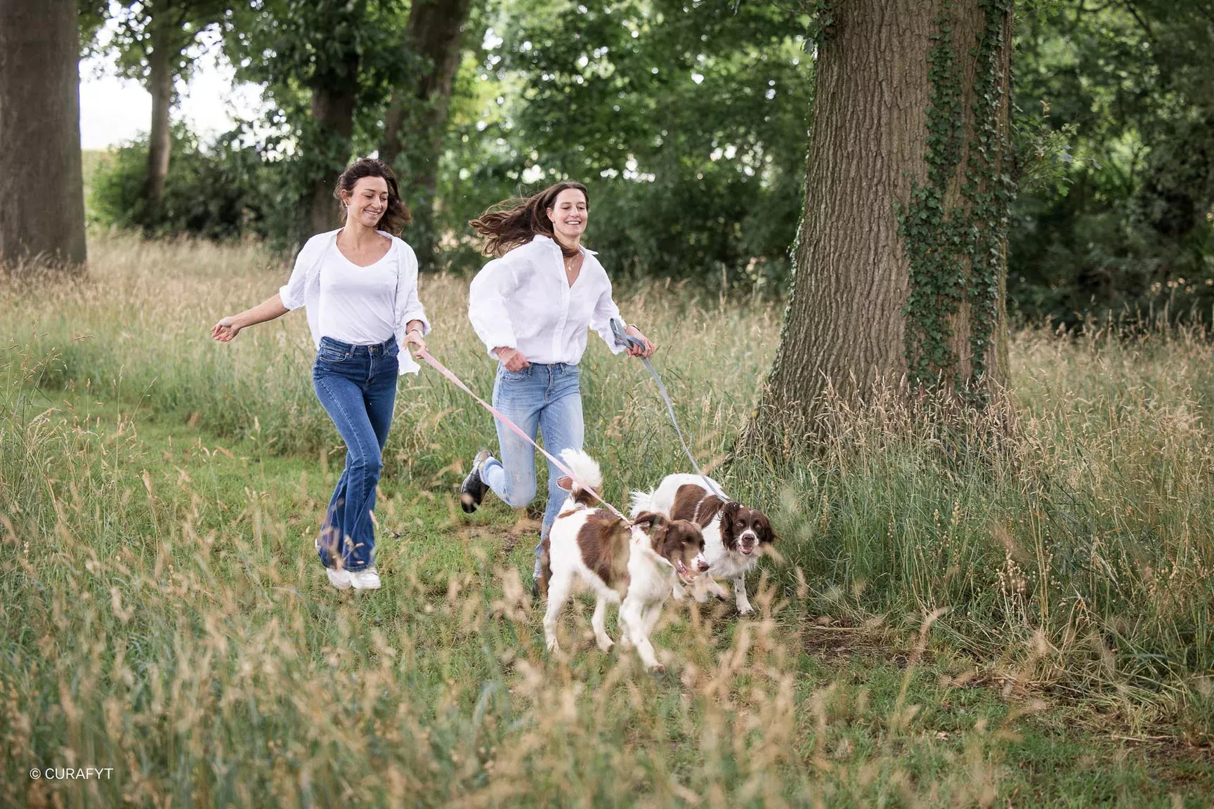 Spotting osteoarthritis in older dogs
