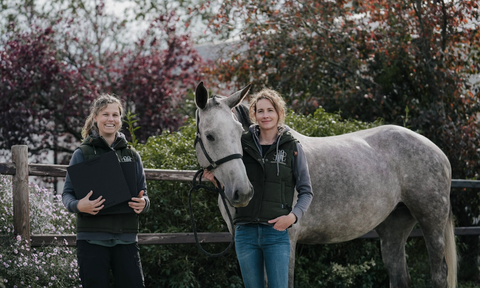 Equimove Balance Pads for horses: What are they and how do you use them