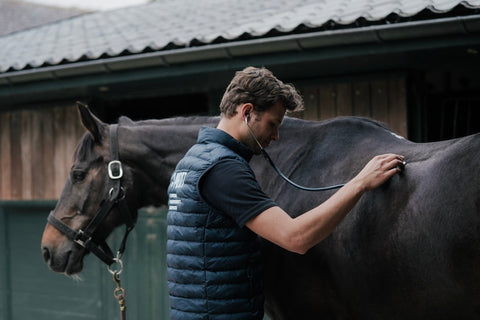 Why is my horse losing weight? The 4 veterinary steps to determine the cause.