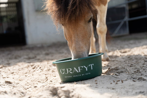 A vet recommended nutritional approach to manage your horse or pony with PPID