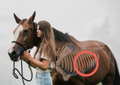 Dull Coat, Slow Shedding, and the Vet Finds Nothing. Does Your Horse Need a Detox?