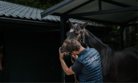 Why Is Dental Care Essential for the Wellbeing and Performance of My Horse?