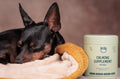 Kalmeringsmiddel Hond Reizen