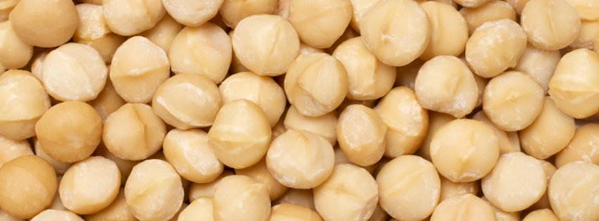 Can a Dog Eat Macadamia Nuts? Safety and Symptoms
