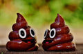 Probiotics for Dogs