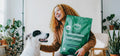 Hypoallergenic dog food: how to make the best choice?