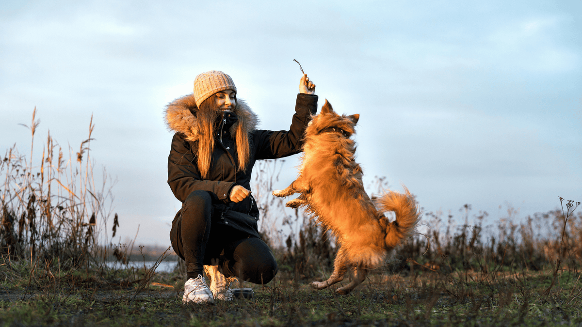 This is how you find out if your dog is showing owner infatuation behaviour