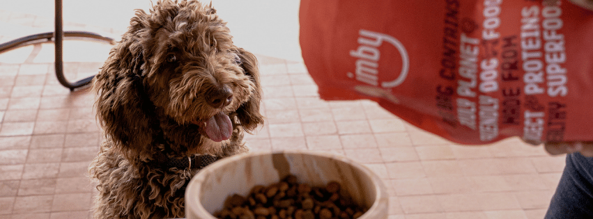 How often should you give hypoallergenic dog food to your dog and in what quantities?