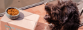 Which grains are good for dogs?