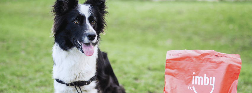 Is Insect-Based Dog Food a Healthy Choice?