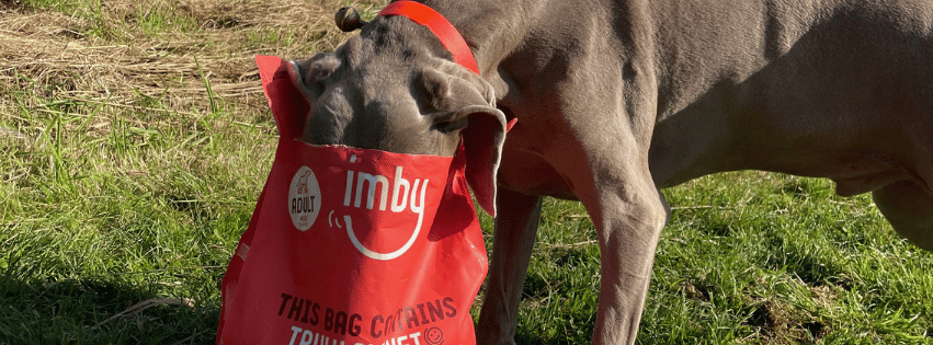 The benefits of dog food with insects