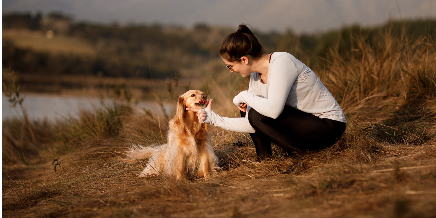 CO2 neutral pet food and snacks from Imby: Tested & approved!