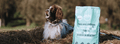 Why choose vegan dog food?