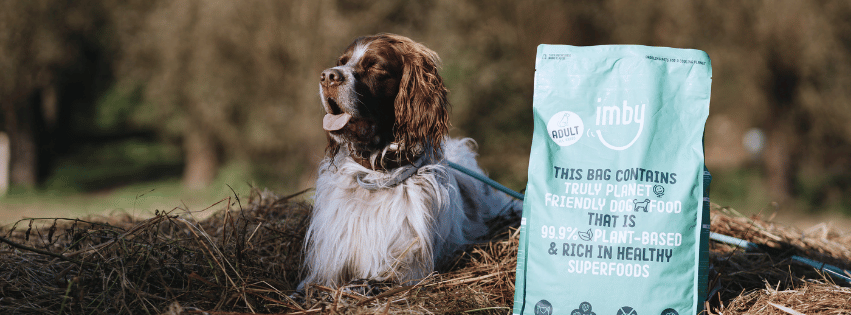 Why choose vegan dog food?