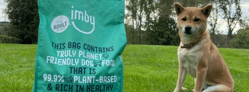 Tips for switching to vegan dog food