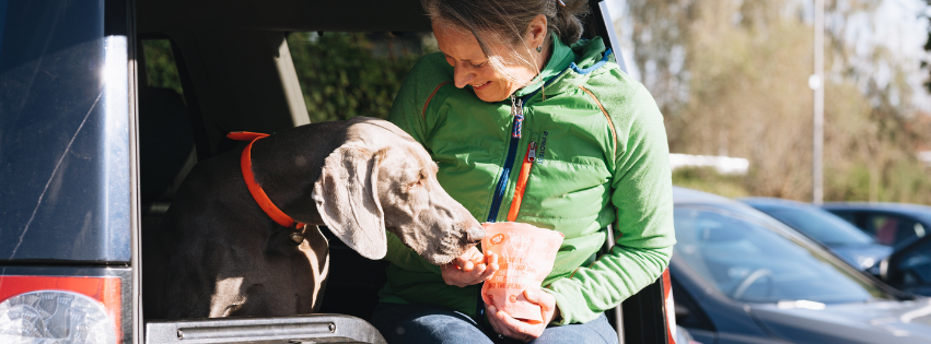 Are vegetarian dog treats healthy?