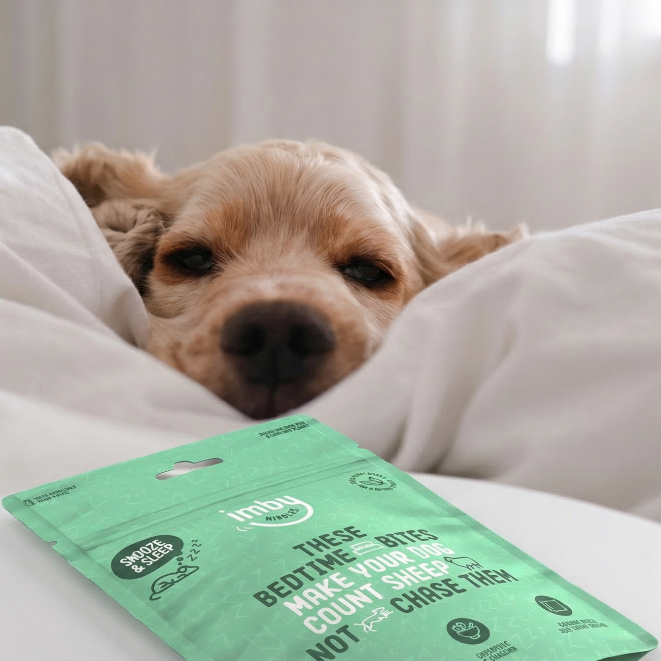 Boredom in dogs: How to recognise it and what can you do about it?