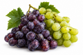 Can a Dog Eat Grapes? Dangers and Advice for Dog Owners