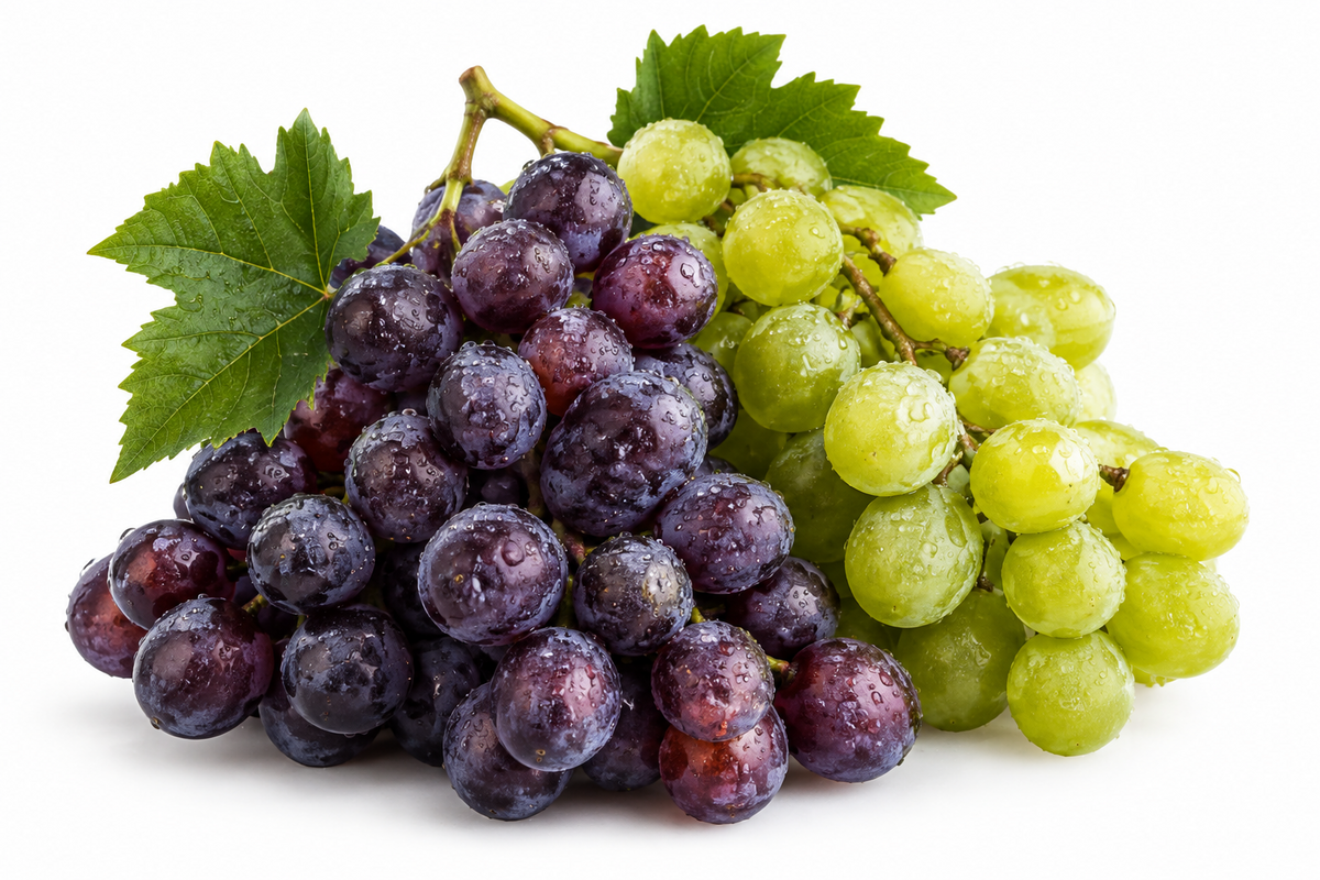 Can a Dog Eat Grapes? Dangers and Advice for Dog Owners