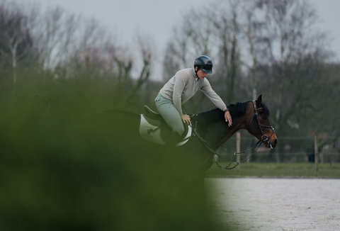Feeding the modern sport-horse: what the latest research really says