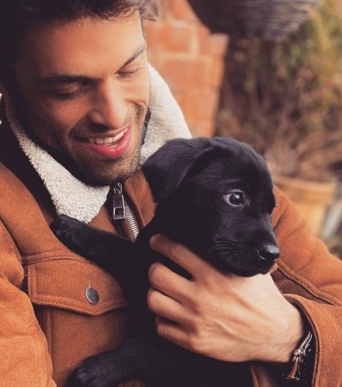 Switching from puppy food to adult dog food