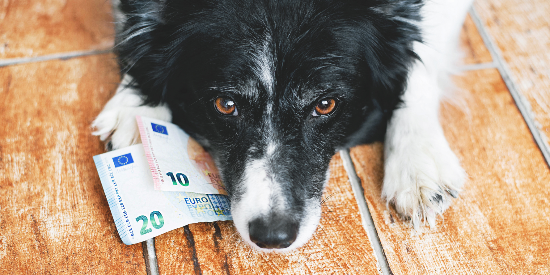 Combat climate change with your savings account
