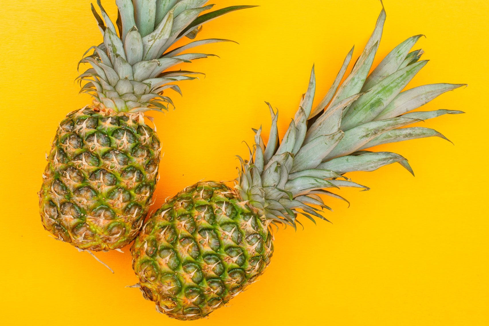 Can a Dog Eat Pineapples? Safety and Health Advice
