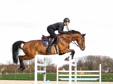 Brown horse jumping over a fence