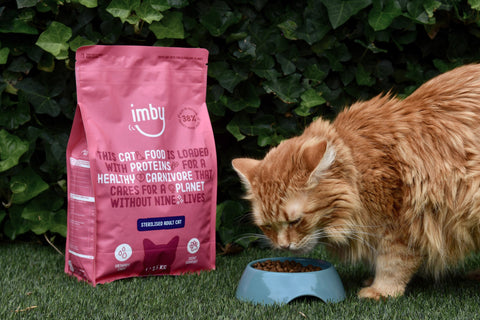 Cat Food