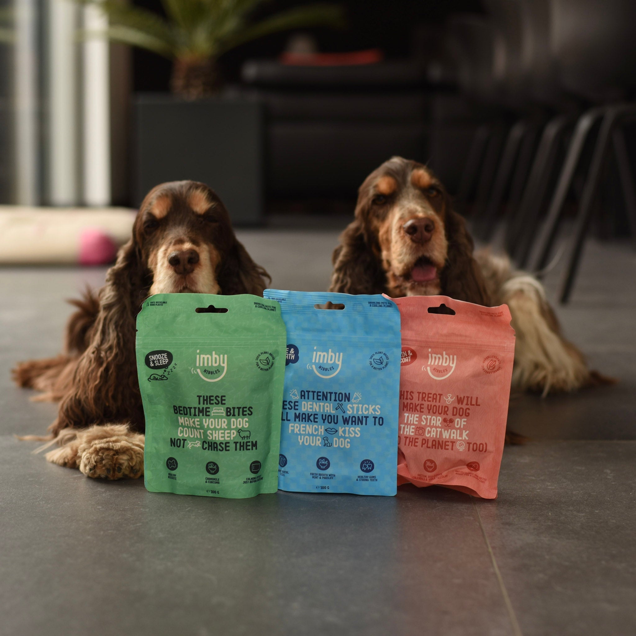 Dog Snacks