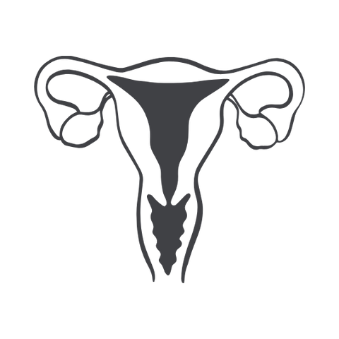 Fertility, Hormones & Mood (new)