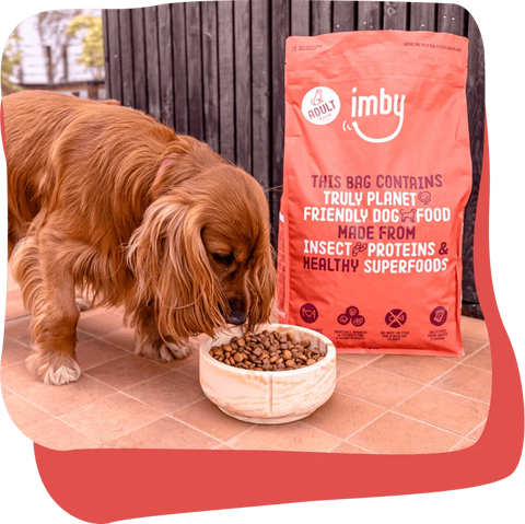 Imby Pet Food & Supplements
