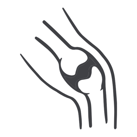 Joint & Mobility Dog