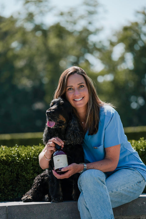 All Dog & Cat Products