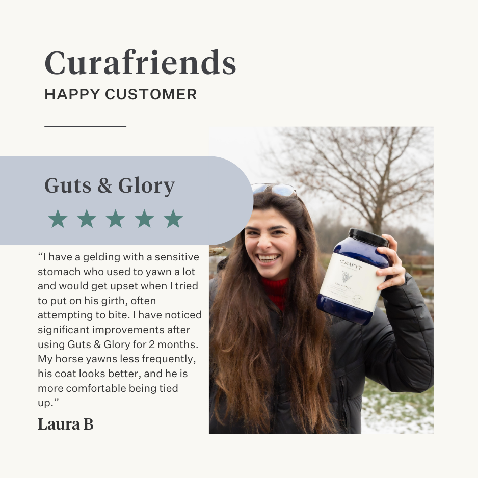 horse pony gut colic gas stomach ulcers probiotics prebiotics flaxseed diarrhea watery feces soft feces | localization: EN