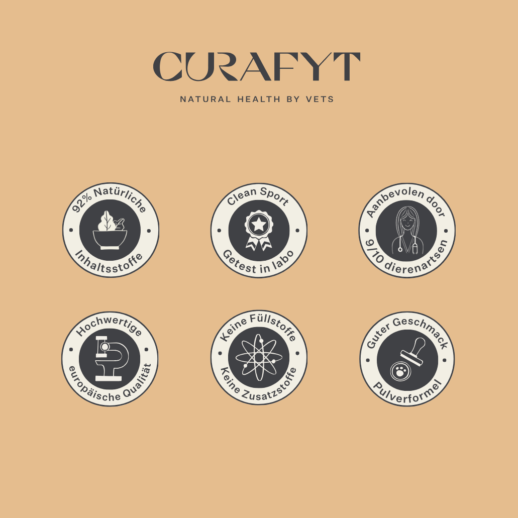 Steady&Stable Curafyt Ergänzung für Pferde und Ponys, Hufrehe, empfindliche Hufe, Insulin, Glukose, PPID, Cushing-Syndrom | localization: DE