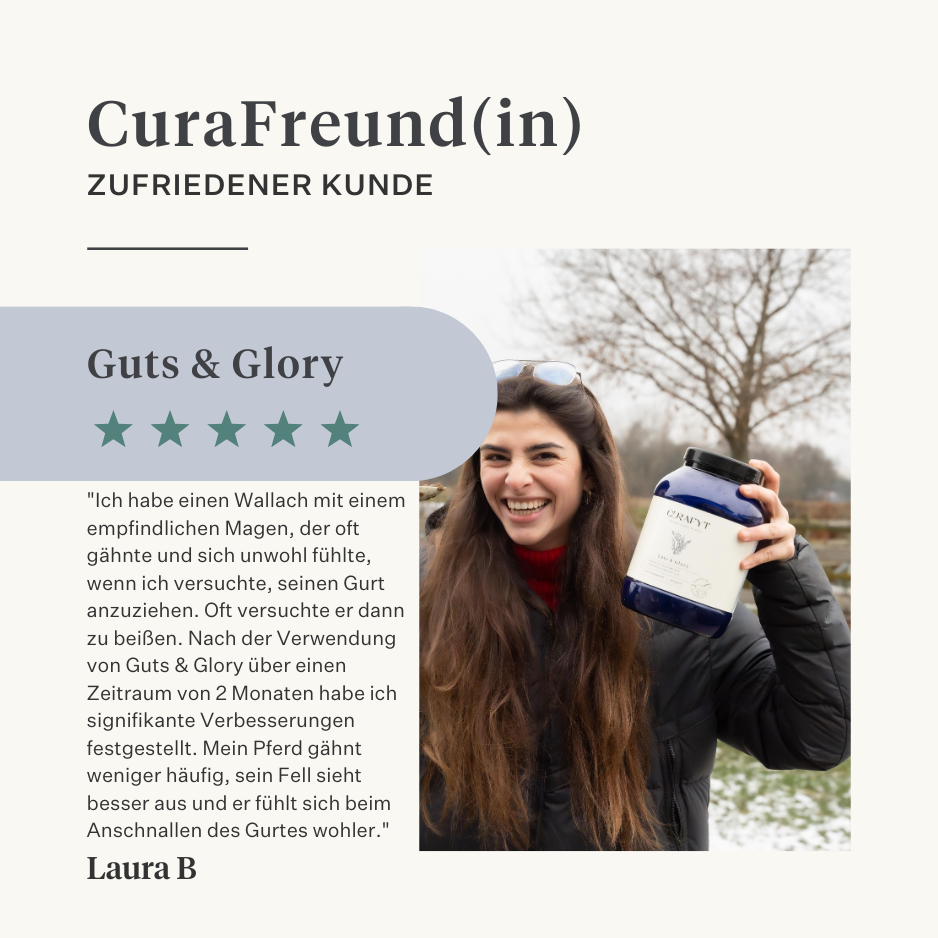 Pferd, Pony, Darmkolik, Gas, Magengeschwüre, Probiotika, Präbiotika, Leinsamen, Durchfall, wässriger Stuhl, weicher Stuhl  | localization: DE