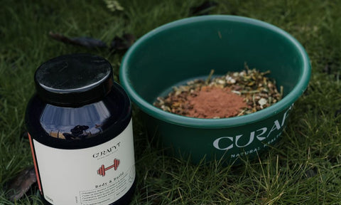 Comment suivre et évaluer les résultats ?