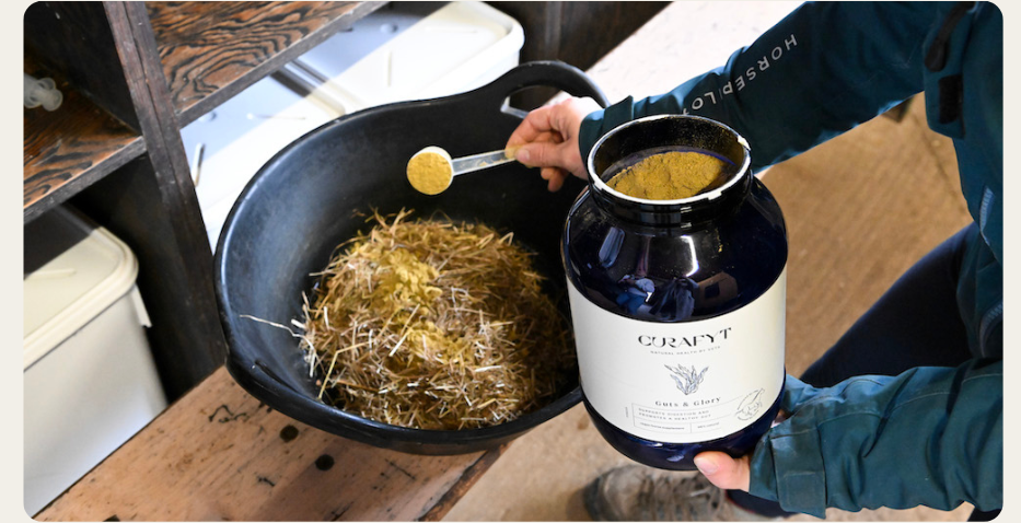 Guts & Glory produkt