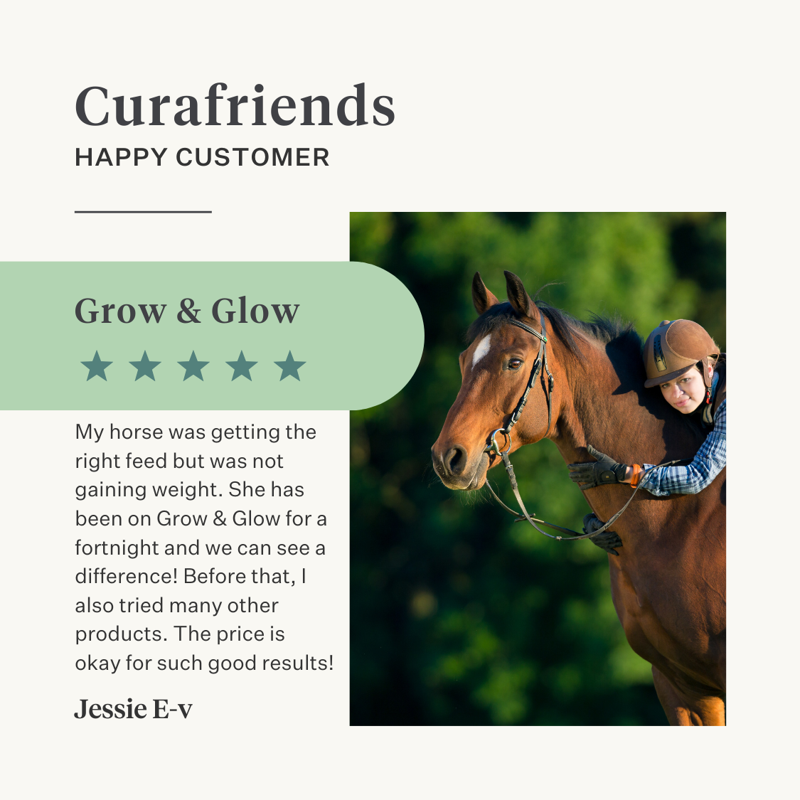 supplement cold pressed oil horse stamina weight muscles vitamin E linseed oil DHA EPA omega-3 | localization: EN