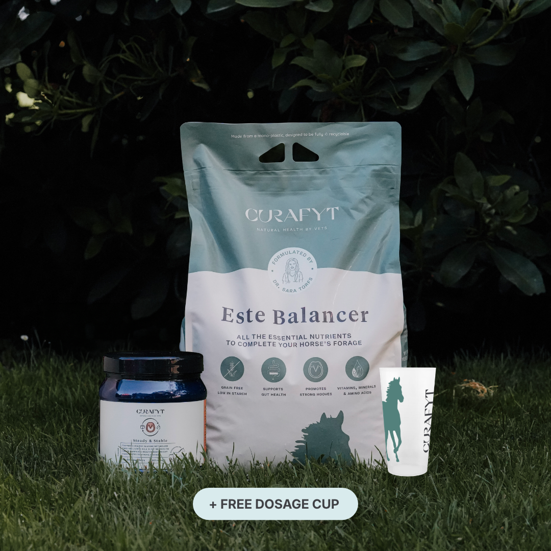 ESTE Balancer + Steady & Stable Bundle