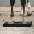 Equimove Balance Pads balance training core stability rehabilitation horse training proprioception