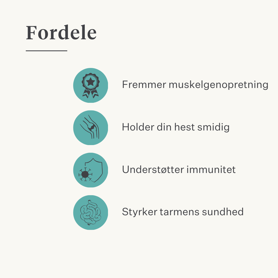 immunitet hud tarm gurkemeje curcumin hest pony | localization: DA