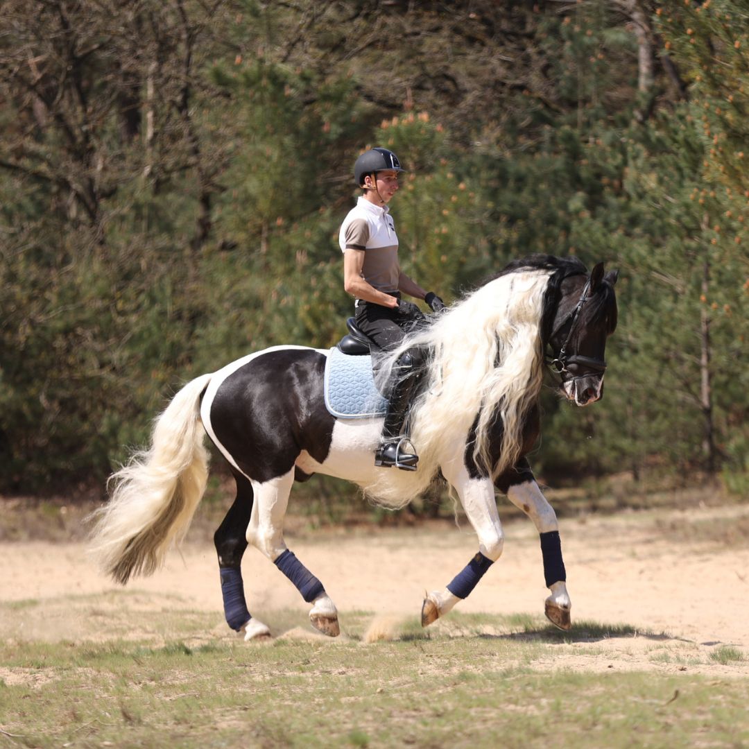 Horse Riding Man