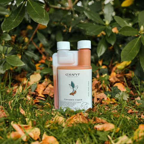 Restore & Revive | Curcumin (Turmeric) Liquid Supplement